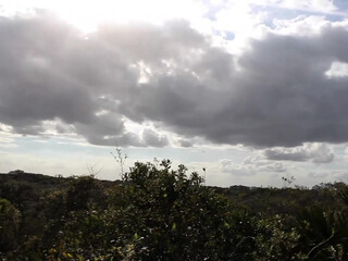 catjira   manyvids onlyfans skinny tattoo tattoo masturbating pussy