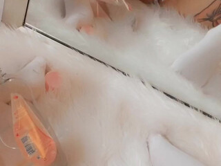 asian manyvids onlyfans elegant slut caresses shaved pussy