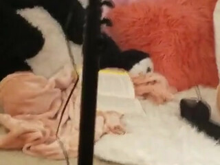 samiparkerxxx manyvids onlyfans gorgeous babe licks dildo