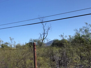 hotwiferio manyvids onlyfans gorgeous bitch caresses big boobs