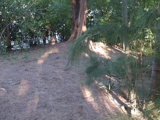 livstixs manyvids onlyfans the stubborn slut fucks herself with a phallus