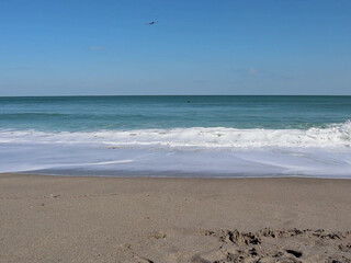 livstixs manyvids onlyfans gorgeous chick fucks pussy with phallus