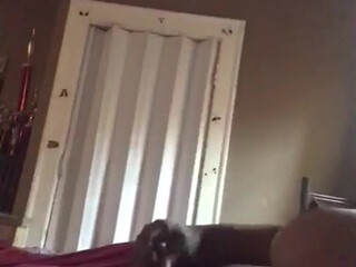 lisastayhard manyvids onlyfans cute brunette girl masturbates passionately