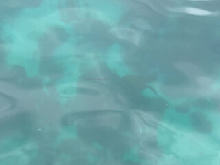 katyaclover manyvids onlyfans exciting bitch dancing in underwear