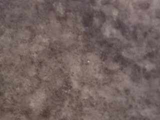 averyjane manyvids onlyfans ardent hottie jerking off her dildo