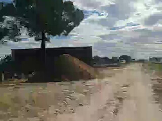 albitaconeja69 filth