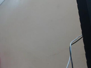 diosahoney Cute bitch