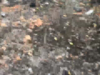 Lusi19 blonde slut fucks pussy with phallus