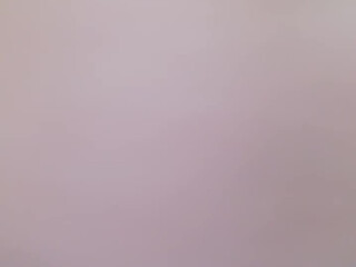 monycat  fun with a toy