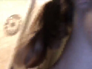 ZipLOka Ardent chicks