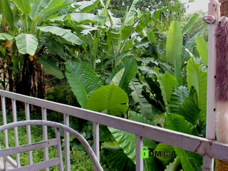 HellaHardcore Sultry confusion