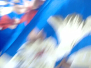 malinka133 02 February 2020