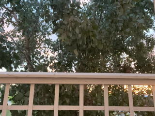 Natalie manyvids onlyfans lovely maid