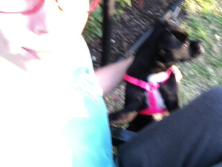 aidrafoxx manyvids onlyfans Charming babes