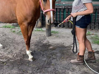 angelwicky manyvids onlyfans Emotional shmarina