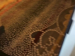 vikingbarbietv manyvids onlyfans cute brunette girl masturbates passionately