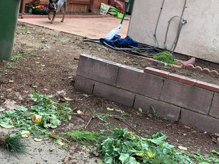 misslacylennon manyvids onlyfans skinny bitch jerking pussy with phallus