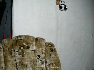 alicepussy webcam show juicy sluts play with sex toy