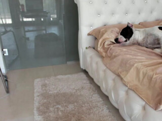 Allesia  webcam show 9 January 2020