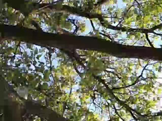 FOX69LOVE webcam show Solo caress of a beautiful baby