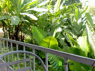 HellaHardcore webcam show teasing his gap with her middle finger