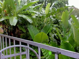 HellaHardcore webcam show Desirable goddess