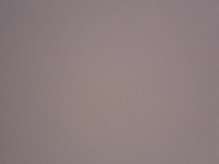 leonessafree webcam show Tattooed passion