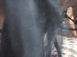 LSweet webcam show hot bitch fucks herself with a phallus