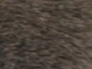 LSweet webcam show jerking whore on the background of new york