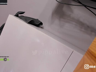 pippalee webcam show beautiful bitch shows shaved holes