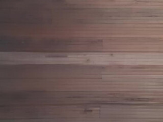 sahorix webcam show bitch trans fucks with her friend