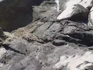 soniaextra webcam show Beautiful blonde