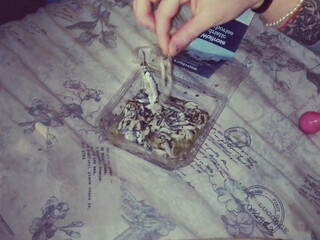 thefetishvixen onlyfans Delicate