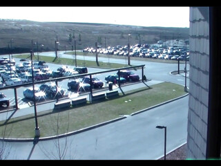 bustykrisann onlyfans in oil shows a graceful body