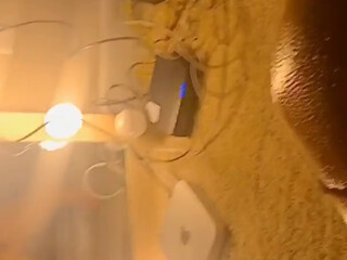 TSBronx onlyfans arab courtesan performing a show