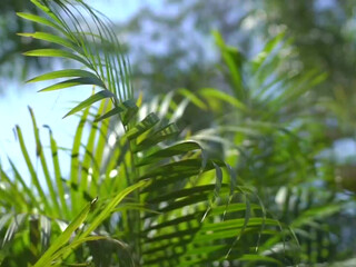 vickyaisha onlyfans naughty passion caresses delicious body