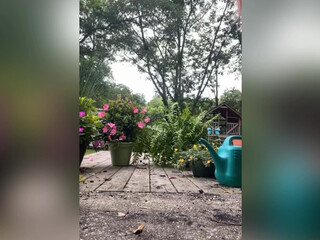 paytonavery onlyfans webcam activity