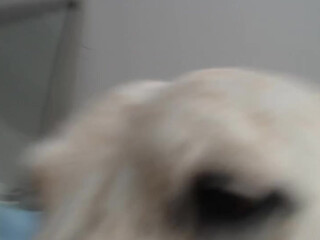 wetsparkles chaturbate sexy chicks are naughty