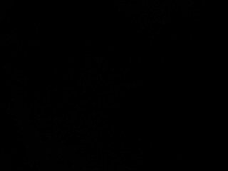 andre_lopezz chaturbate Awesome baby