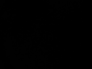 andre_lopezz chaturbate Cute female