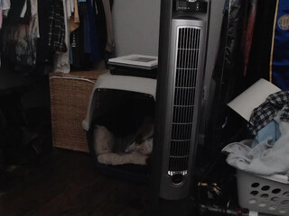 wetsparkles chaturbate Beautiful shlendra