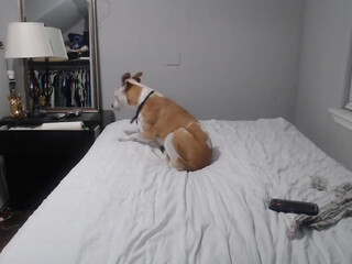 wetsparkles chaturbate black-haired nymph pulls pussy