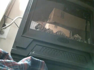 funcouple4040 chaturbate hot blonde with big tits