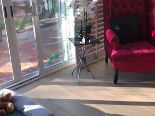 char_stokely onlyfans naughty babe posing in lingerie