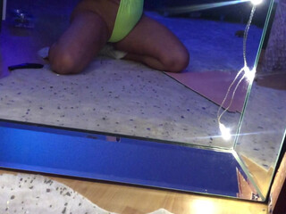 chantelzales onlyfans tender kitty indulges in sex toys