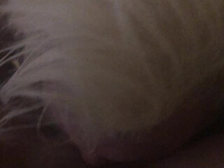 tiffanybrookes onlyfans Attractive chicks