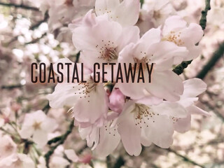 Laz Fyre onlyfans cute girl caresses her charms