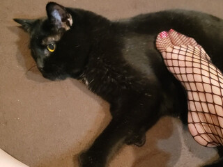 subrinasky onlyfans chubby bitch spreading lips sex and introduced the cap to sex toy