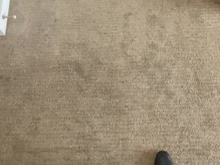 daddysstepdaughter onlyfans crazy beast develops anus