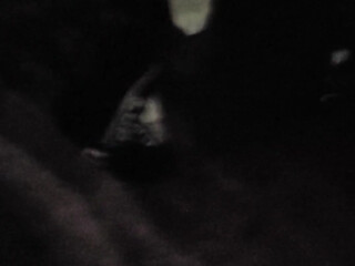 paolaferrer081891 Skinny babe